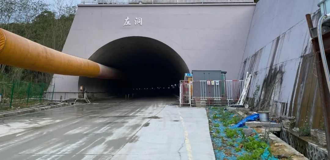 1746841323213219.jpg 1.jpg